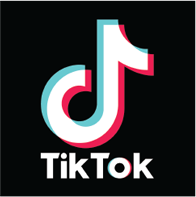 TikTok Icon